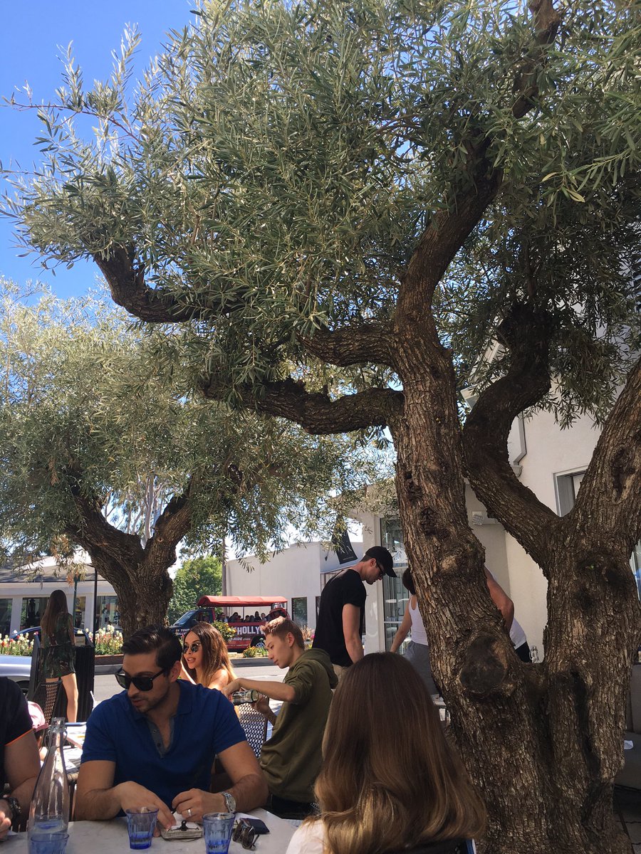 The most beautiful patio in LA - <a href="/BbcmCafe/">BBCM West Hollywood</a>.