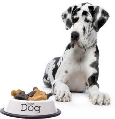 Ingredi-Guard tweet media