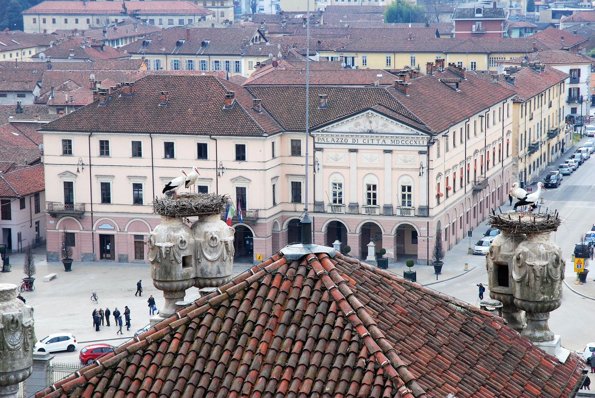 VisitRacconigi's tweet photo. Sempre nuovi punti di vista. Palazzo Comunale e Ufficio Turistico dall'alto del @CastelloRac. @PoloMusealePIE @piemonte_italia @AtlCuneese https://t.co/39NGaFhc3Y