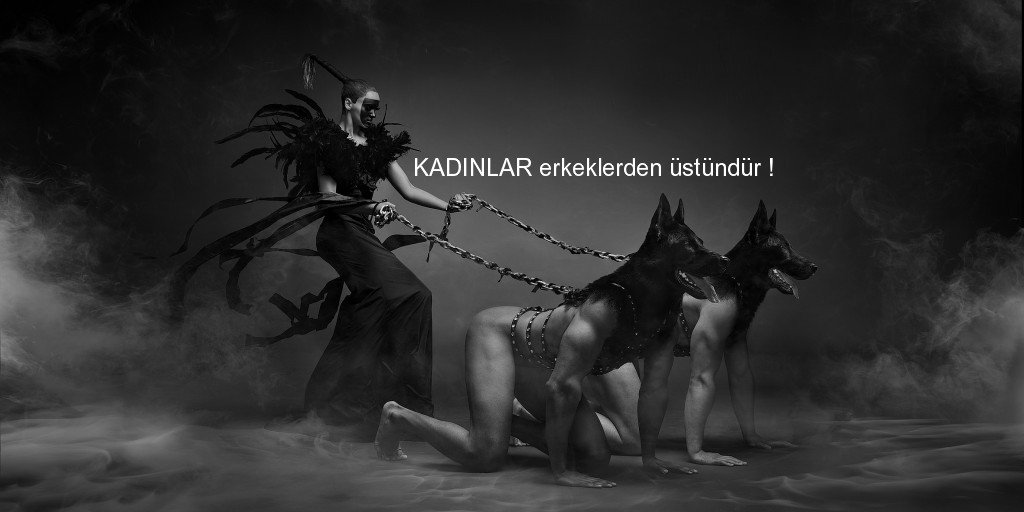 Eğer yürürken tasmayı çekiyorsa kesinlikle durun. Sizi sürüklemesine izin vermeyin. Ona seslenin tekrar yanınıza geldiğinde onu ödüllendirin