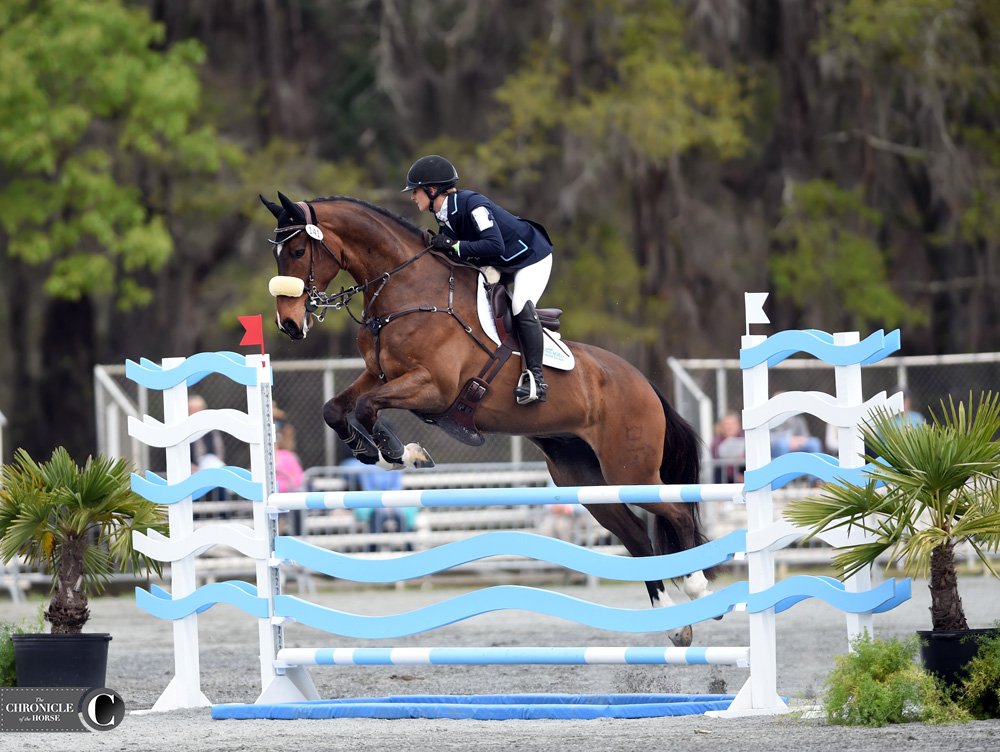 The Chronicle of the Horse tweet media