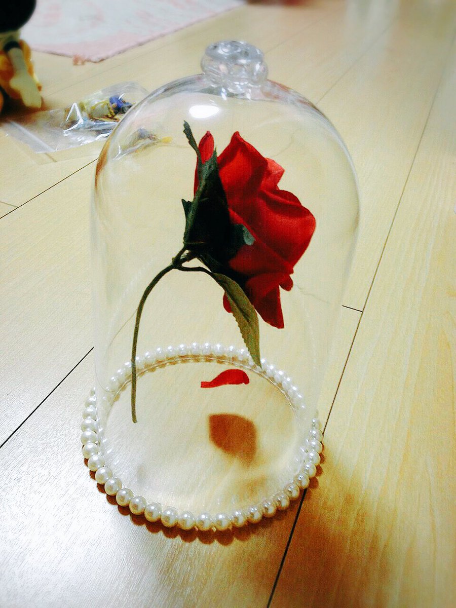 かげとりゃ 映画館で美女と野獣の薔薇のガラスドームが飾ってあってすごく立派だったけど 結婚式の小道具に手作りした我が家のガラスドームも愛着があるし大好きです 旦那作 浮かせるのが案外難しくて悪戦苦闘した力作なのに式で展示してるの誰にも