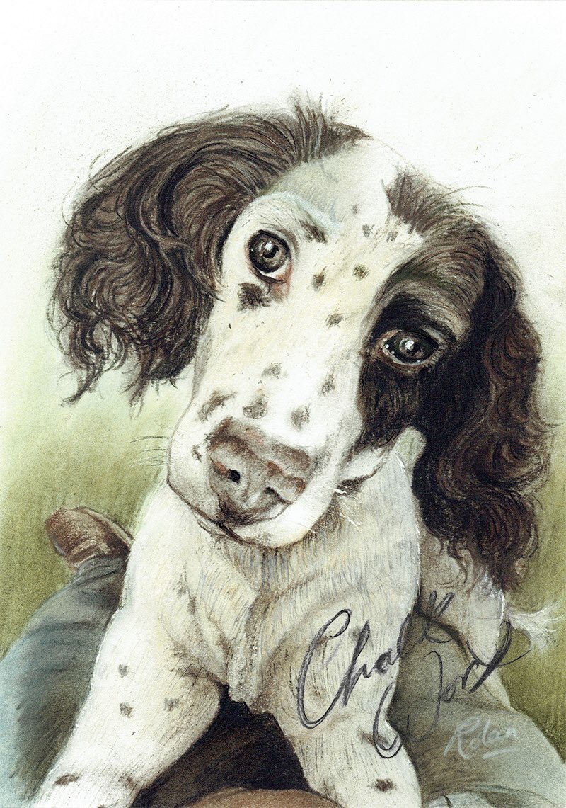 Faewatch's tweet image. Pet portrait by Rolan Griffin