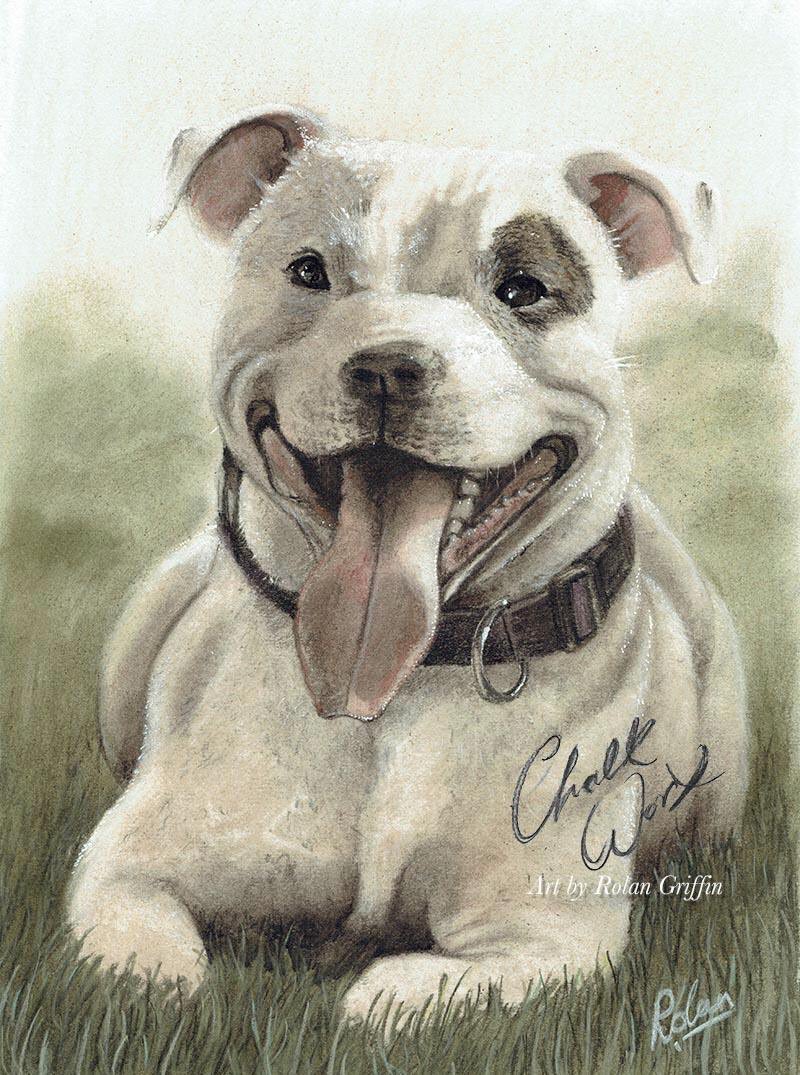 Faewatch's tweet image. Pet portrait by Rolan Griffin