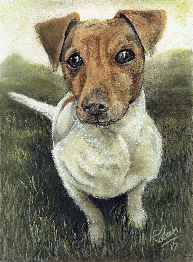 Faewatch's tweet image. Pet portrait by Rolan Griffin