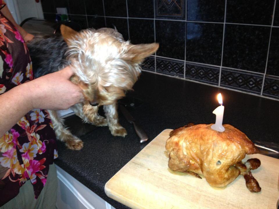 #Crufts Ina's 1st Birthday.