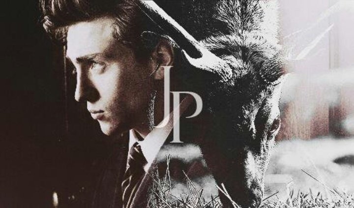 🚨 #SEBUSCA🚨
Lily Evans busca a su James Potter para trama a discusión. Trama dentro y fuera de Hogwarts. 
-Roleo semi extenso y extenso.