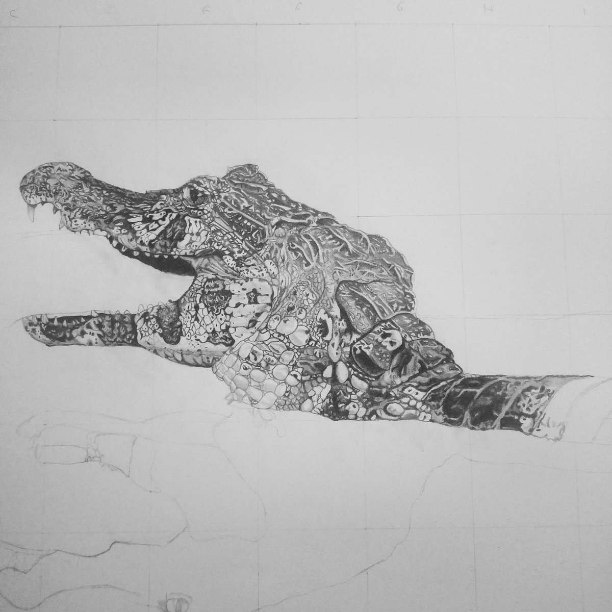 Emma_C_Artist's tweet photo. Progress pic of a #caiman #wildlifeart #hunter #drawing #pencilsketch #Drawingoftheday #picoftheday #wwf #portrait #portfolio #wildlife https://t.co/ApSVd18JcK