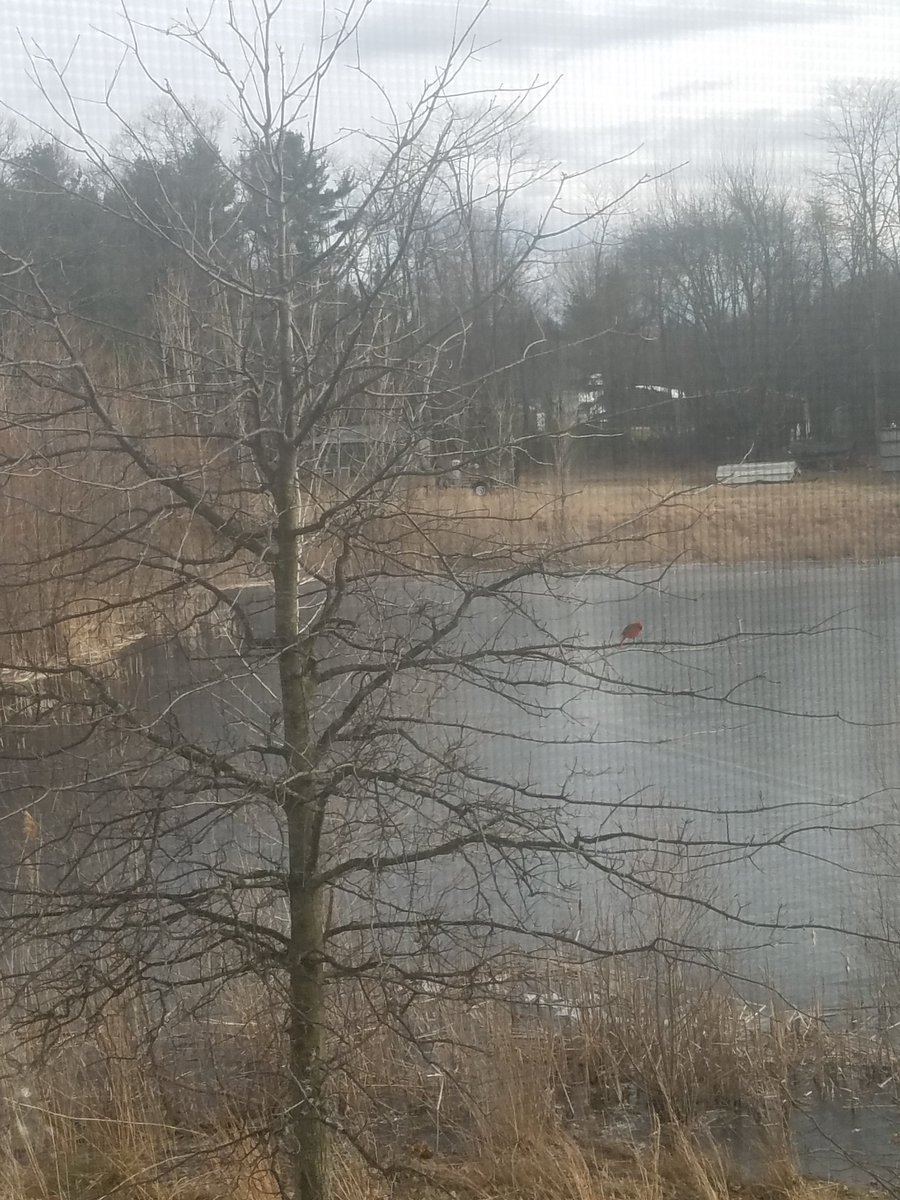 Alena Zachery-Ross tweet media