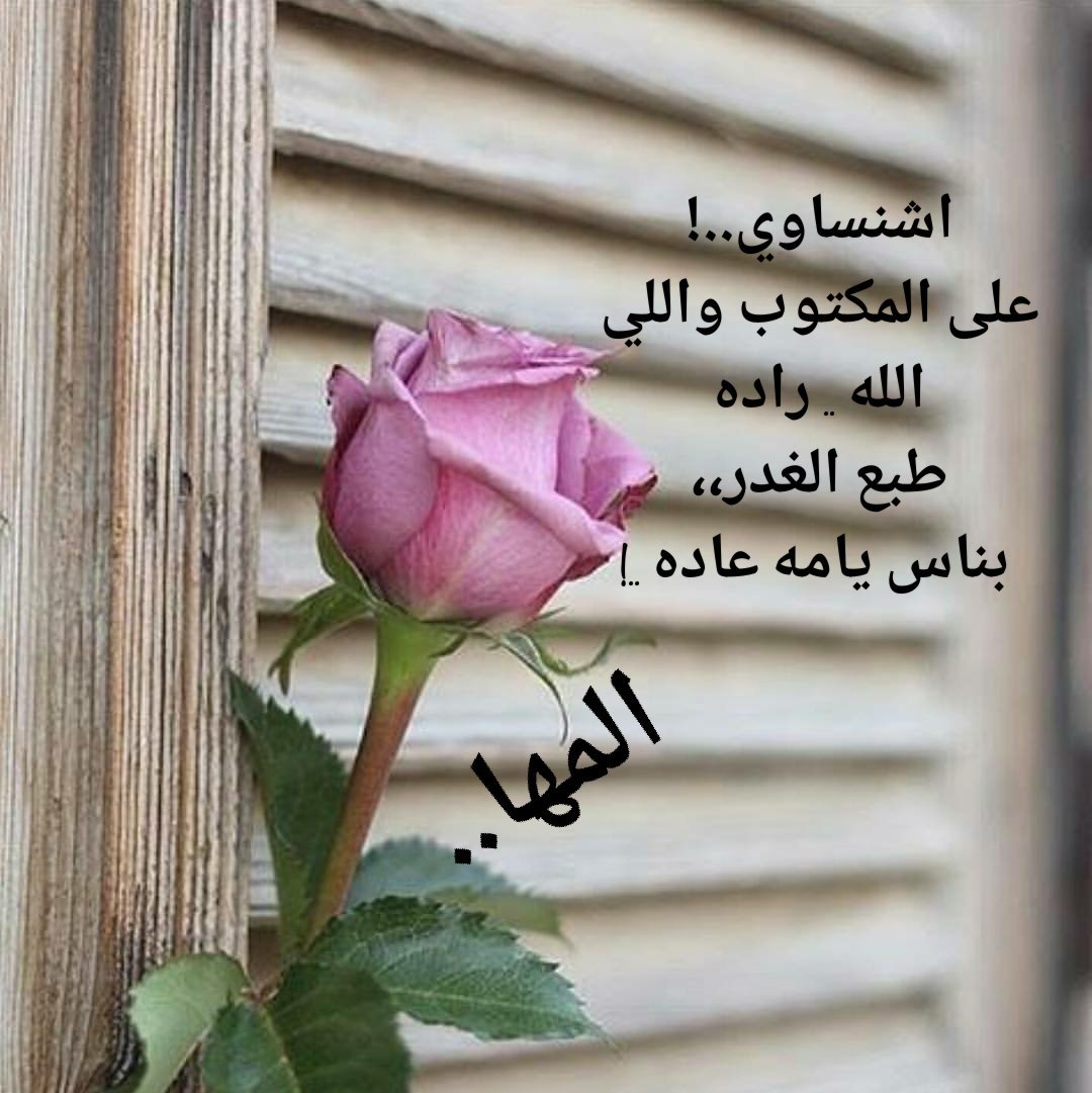 اش نساوي..!
 على المكتوب واللي 
الله .. راده
طبع الغدر،،
 بناس يامه عاده ..!