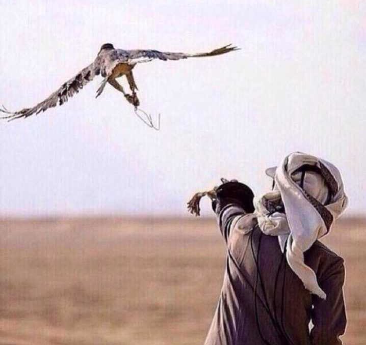 -
توثقت من *حبه* مثل راعي الطير ، 
لا هد طيره فالهوا *واثقٍنّ به* ~❤️🔐~ 
،
،
#جنوني_غرامك
#معزوفه_شقردي
#اقصى_المحاني