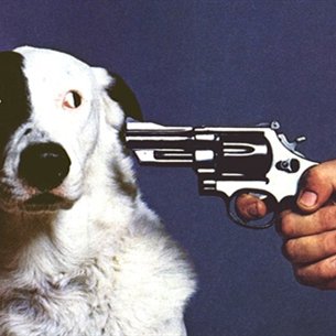 PervHeartOfGold's tweet image. #BadHashtags JoinThisGameOrWeKillThisDog