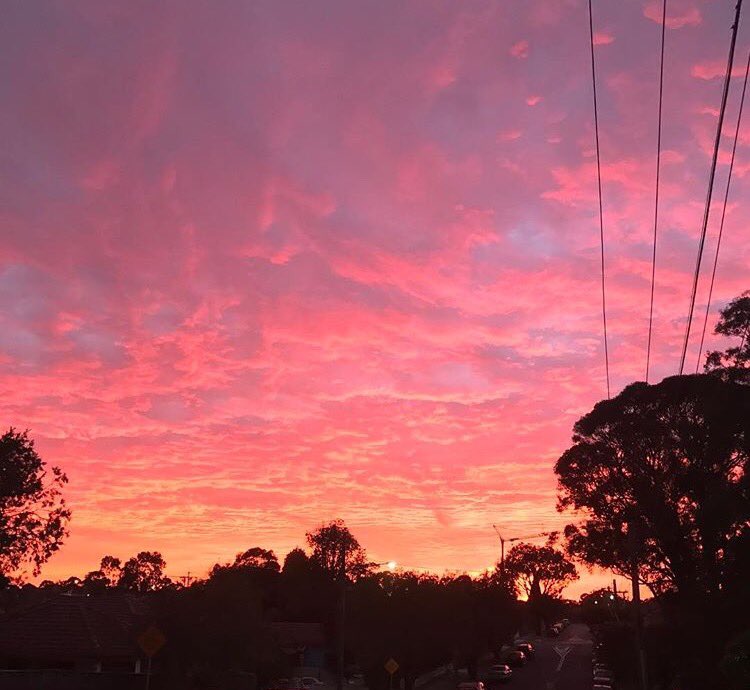 Monday is off to a pretty good start 🌞Pic: kevinonesi/IG #sydneylocal