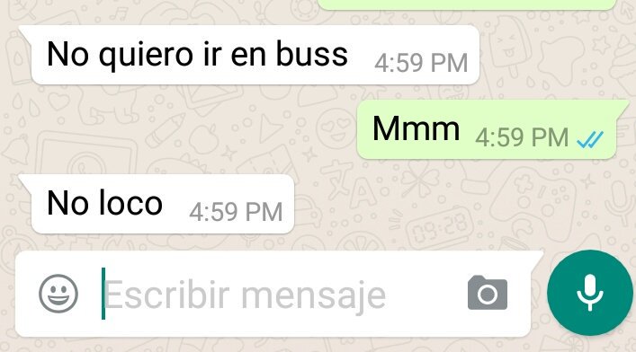 ChopinPy's tweet photo. Todos los días le veo en el bus y a la hora de putear oñembo delicado https://t.co/853BMKWDUm