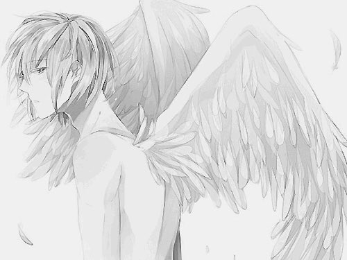 AngelOfXan's tweet photo. *Lewd OC*
*LewdRP*
*Not new*
*No Limits*
*Will be taking his shirt off*
*Descriptive*
*Straight*
*Open DMs* 
*RT?* https://t.co/fWTa0VZ9NY
