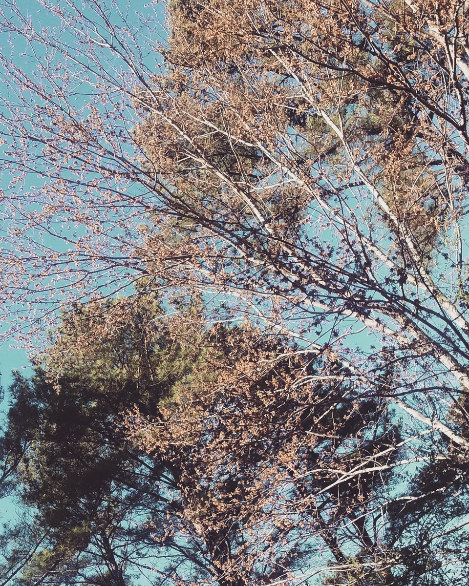 brittb2000's tweet image. WHY IS WINTER BACK AGAIN ?!?! I WANT SPRING . MOTHER NATURE YOU NEED TO STOP PMSING ! 😭😤