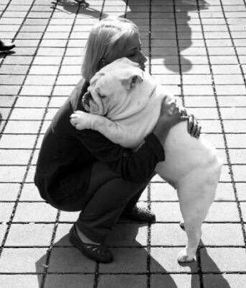 wordsonlife's tweet photo. When someone says, "it's just a dog"..
And you think, "and you're just an asshole".. https://t.co/5nXiE8UPfO