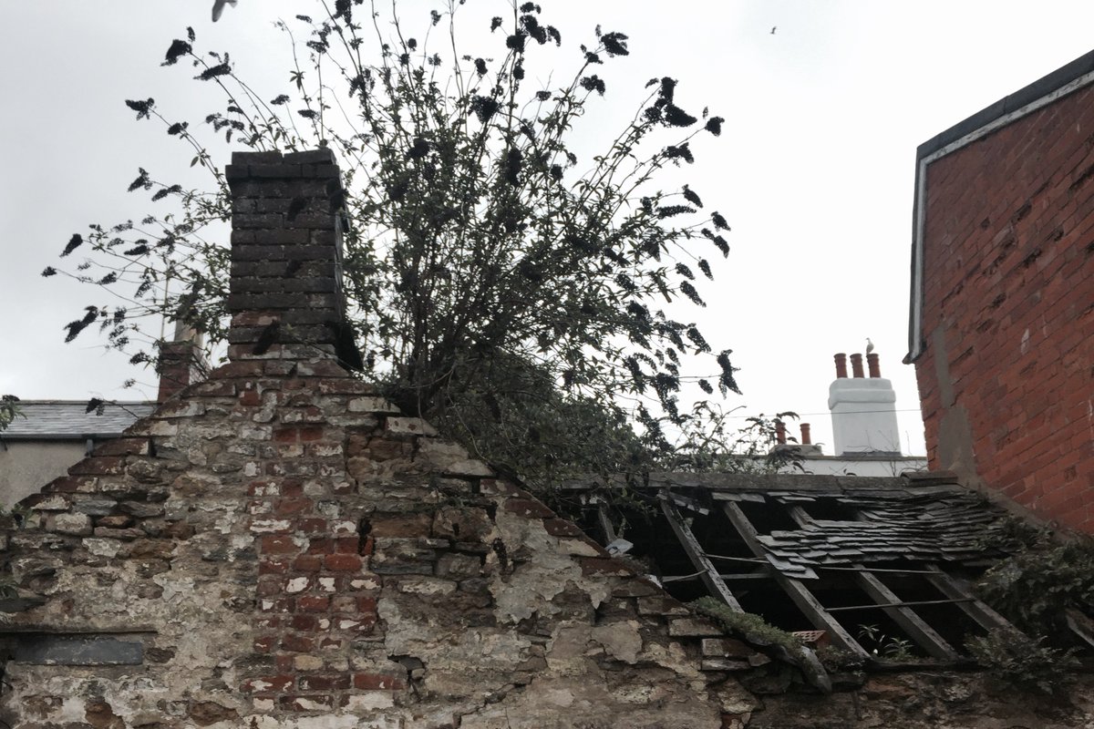 Sbretty85's tweet image. Hayward &amp;amp; Co are responsible for letting the estate fall into decay and disrepair. Don't be fooled by their idea of development