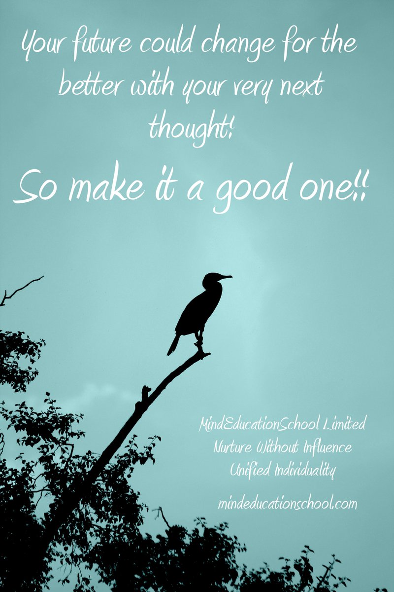 MindEdSchool's tweet photo. Find time alone to work on that idea. #intuition #peace #positivethinking #success #harmony #wisdom #GoodVibes #happiness https://t.co/khoCXrvhqO