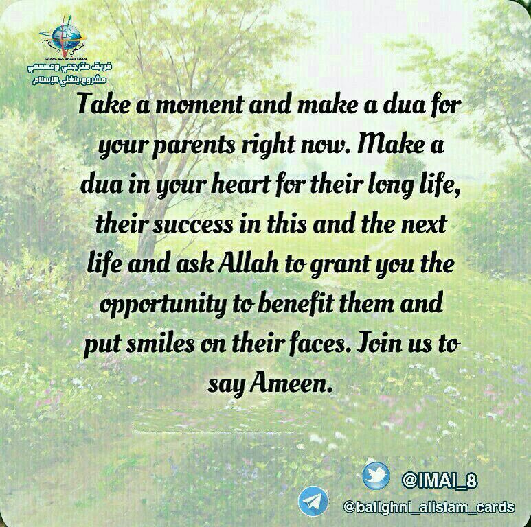 galaxy34n's tweet photo. #KievMajor #EngineeringChallenge #ParkGeunhye #CRIBSummit #OurTurn
sea quals
⬇️
https://t.co/tIs79Lf1XK
#balleghni_alislam https://t.co/ha6OtvBTN0