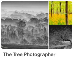 TreePhotographs's tweet photo. @GabrielHemery #tree #photographs now on Pinterest: https://t.co/BfiQ1AjlHq https://t.co/Bdz2vAJ2nG