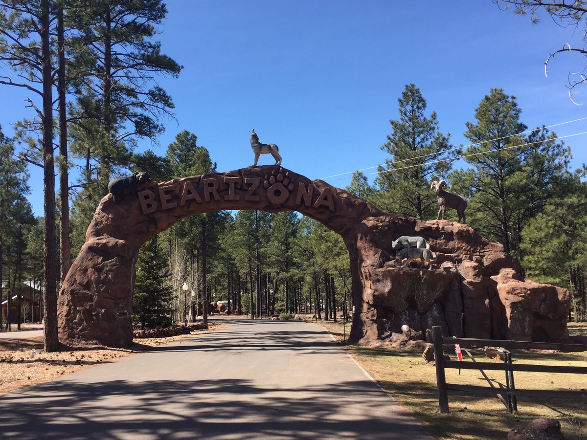ClayAbbey's tweet photo. #springbreakday2 https://t.co/ZmWuSUXb8x