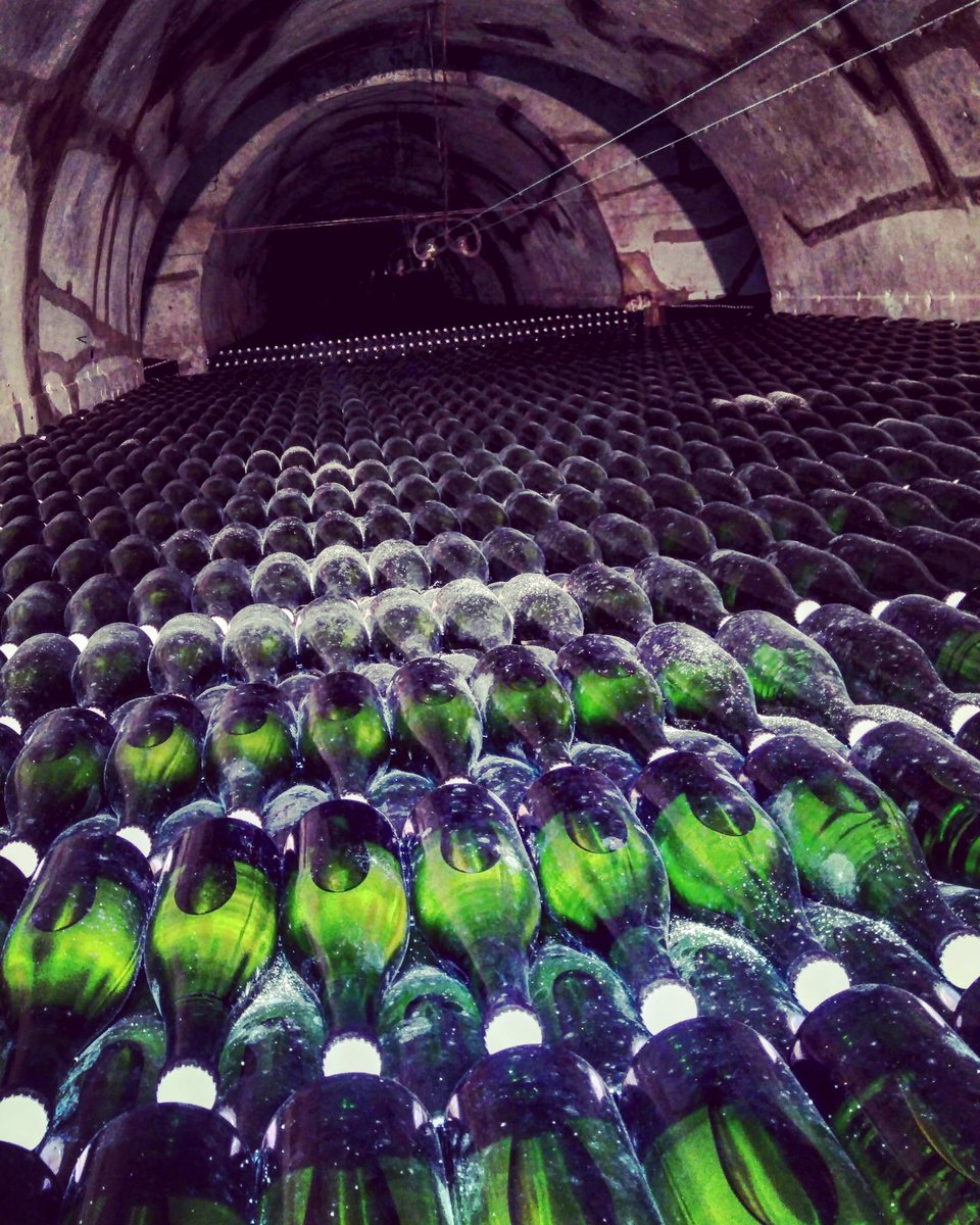 #champagne #winelover #epernay #winecellar #bottle #vintage #bubbles #Wine #polrogerchampagne #wineporn #travel #polroger #champagnelover