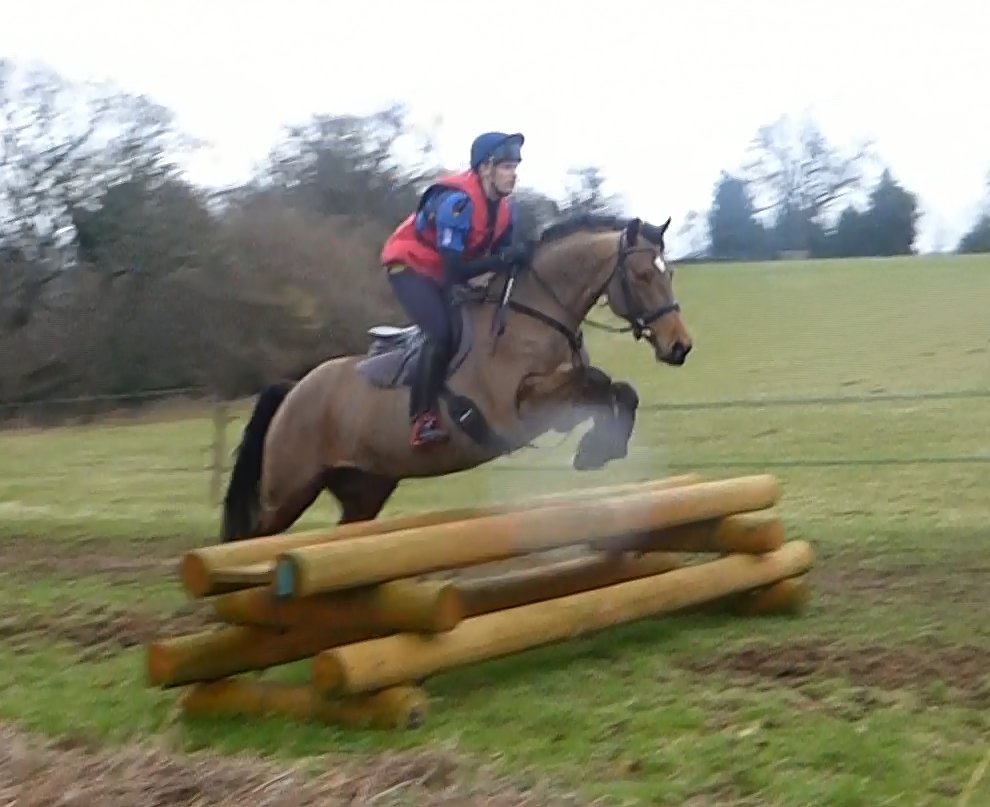 BRS_Eventing's tweet photo. Getting ready for the 2017 season. Interval training a the gallops, show jumping at Felbridge and X schooling at Munstead. #RoadToNovice https://t.co/X91BlApGtK
