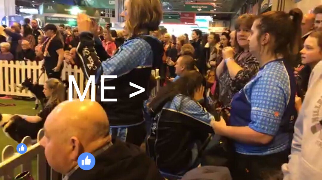 SVosper1's tweet photo. How I watched my daughter in YKC Flyball Final #Crufts #GoAcesGo #CortonFlyers https://t.co/N9R8nrTwz4