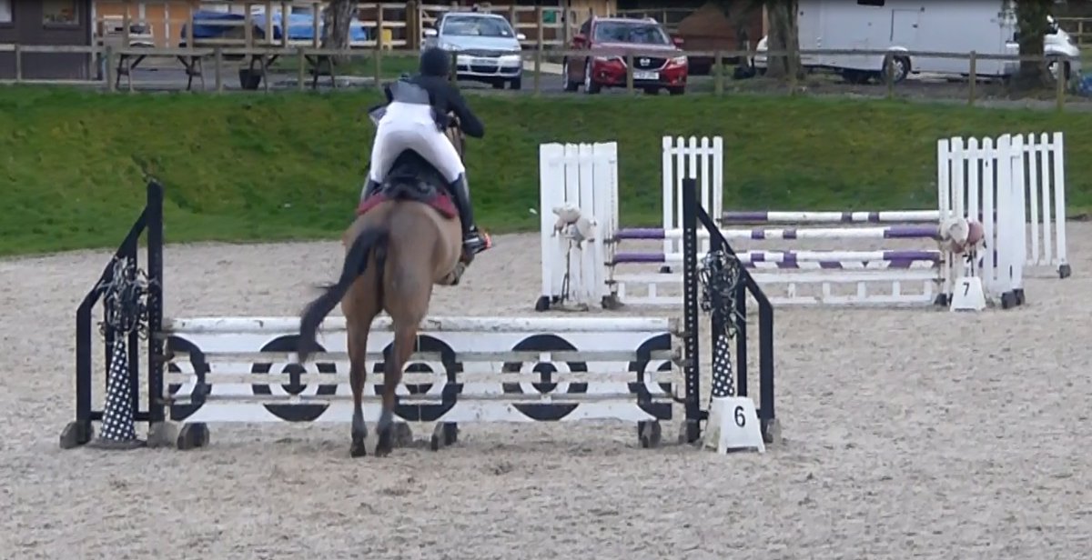 BRS_Eventing's tweet photo. Getting ready for the 2017 season. Interval training a the gallops, show jumping at Felbridge and X schooling at Munstead. #RoadToNovice https://t.co/X91BlApGtK