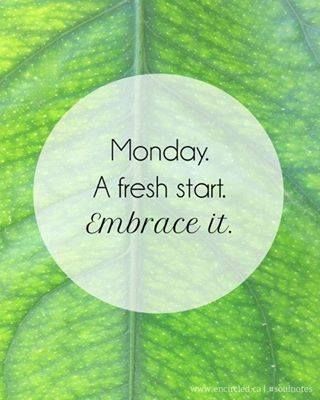 FatGalah's tweet image. We look forward to Mondays, but then it&apos;s easy when you enjoy what you&apos;re doing. #WeWriteCode #MondayMotivation #website