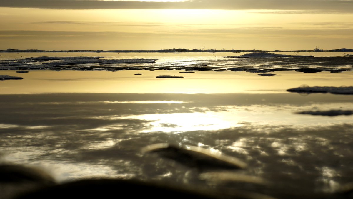 dezeekust's tweet photo. Lieve mensen... Gewoon al 1500x gelezen
Vèt!
Ook dank namens @WendySalman...
'EBBEN' https://t.co/ldYJx311RS
#dezeekust #verhalendbeeld https://t.co/r24AjA4aXB