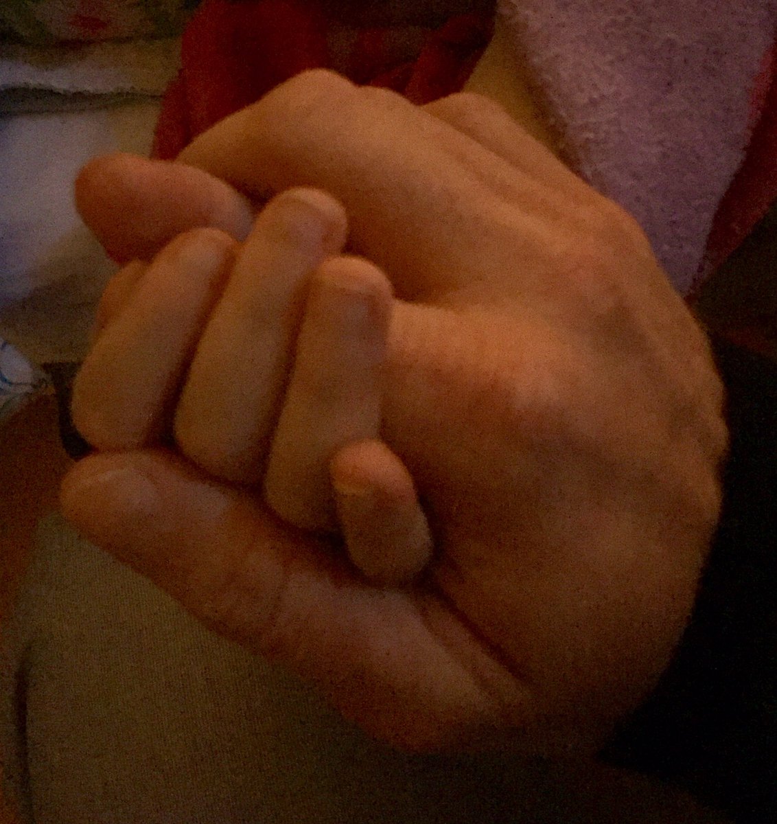 Mr. McCaffrey tweet media