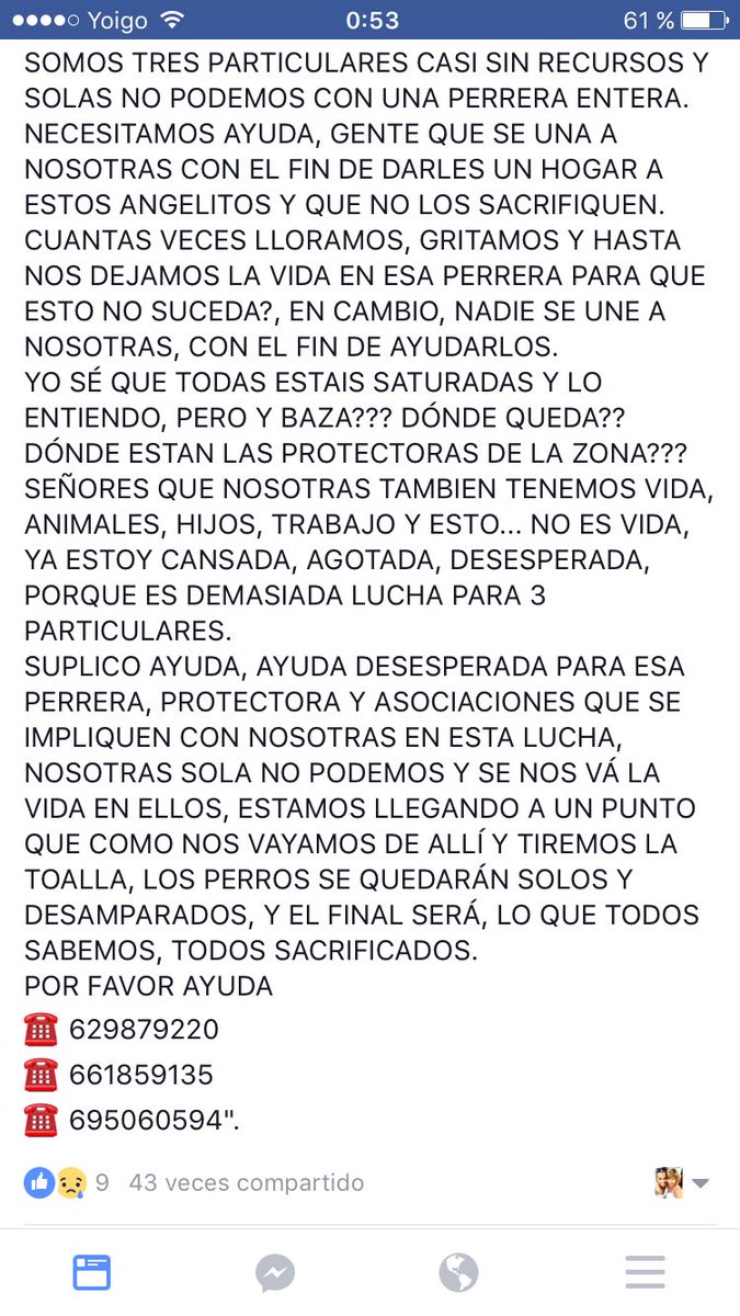 CorinaRandazzo's tweet photo. 🆘🆘🆘🆘🆘🆘🆘🆘🆘🆘🆘🆘MÁXIMA DIFUSIÓN PARA LA PERRERA DE BAZA 
🆘🆘🆘🆘🆘🆘🆘🆘🆘🆘🆘🆘
Necesitan ayuda urgente o los perros serán sacrificados.
Ayuda a compartir https://t.co/m2axdCiPp8