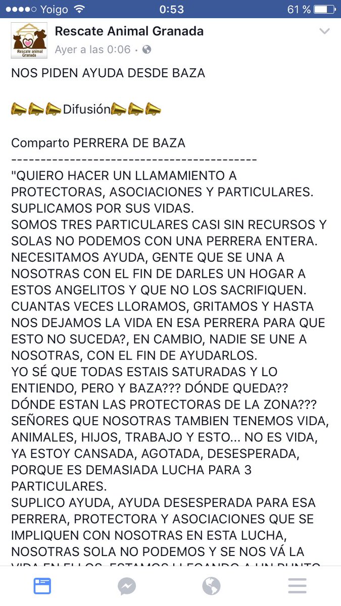 CorinaRandazzo's tweet photo. 🆘🆘🆘🆘🆘🆘🆘🆘🆘🆘🆘🆘MÁXIMA DIFUSIÓN PARA LA PERRERA DE BAZA 
🆘🆘🆘🆘🆘🆘🆘🆘🆘🆘🆘🆘
Necesitan ayuda urgente o los perros serán sacrificados.
Ayuda a compartir https://t.co/m2axdCiPp8
