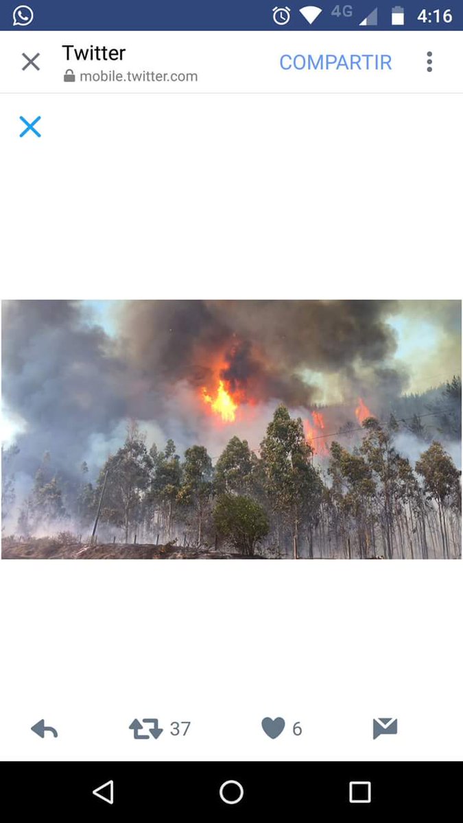 Membrillo3388's tweet photo. Putú,ciudad ubicada hacia la costa de Constitución, también está con  #Incendio sin control. Que se sepa pa que llegue más ayuda #VinadelMar https://t.co/YlYnvkFFxb