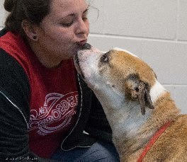 NewHopePet's tweet photo. Diamond was part of neglect case.  This sweet girl is now looking for a loving family of her own!  #foreverlove # rescuedogsrock https://t.co/bqMMCrpJFV