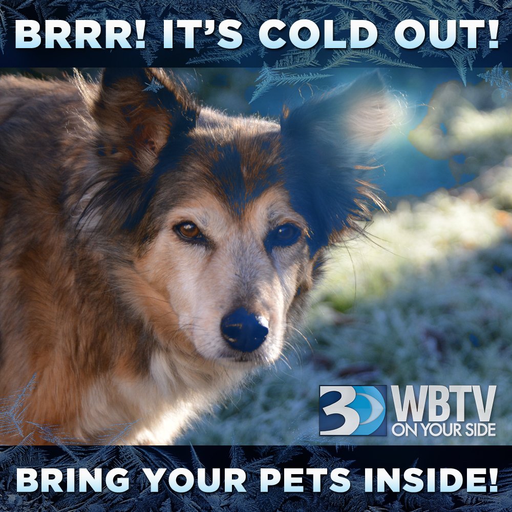 WBTV_News's tweet photo. Retweet this to help remind people that it is going to be FREEZING tonight in our area. #BringInYourPets #KeepThemSafe https://t.co/mjhsIcCQur