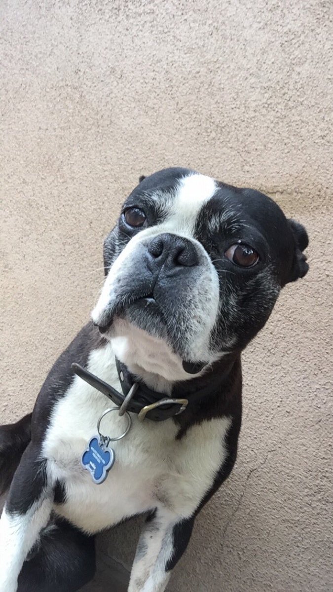 jamesthuber's tweet photo. Mom:"I don't want you going out this weekend stay in and spend time with me."
Me: https://t.co/cx6Iig1y0a