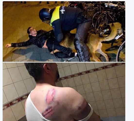 aydogduabdullh's tweet photo. #rotterdam🙈🙉🙊
Politie Amsterdam @holistiksifa https://t.co/eprIBN8hD8