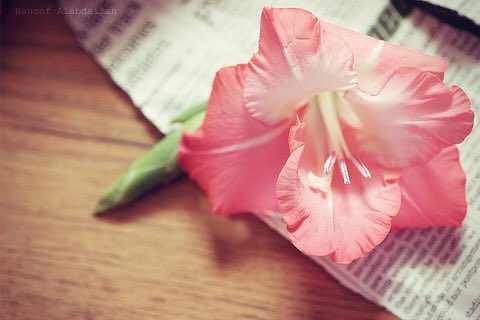 خطاك مالك خطأ ، خطاك اشوفك صواب
يا اكثر صواب بحياتي .. ليه كلك خطا ؟