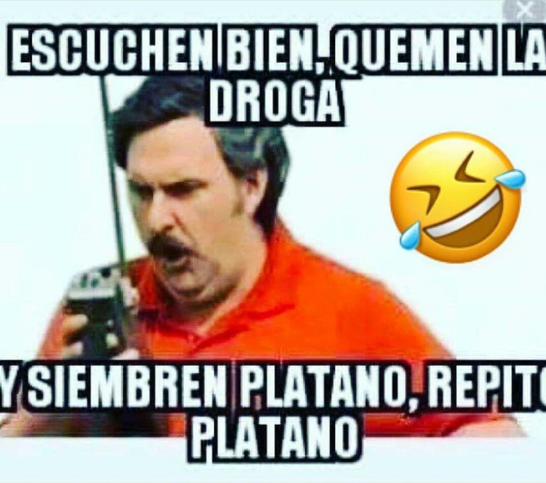 Marthatava's tweet photo. #mecopian #PlatanoPower #ArribaDominicana https://t.co/XAEMpczszZ