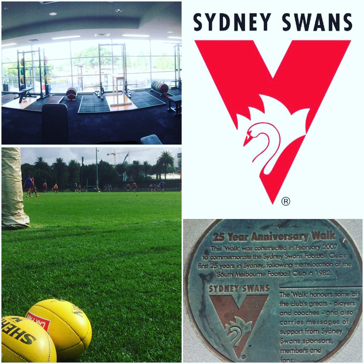 richwalters10's tweet photo. Very useful and developmental few days spent with 'Killer' and the rest of the S&amp;C team at the @sydneyswans 👌🏻🇦🇺 #cpd #freak #athletes https://t.co/tR4s3RgF79