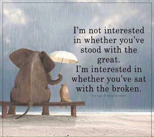 Rebecca Orr (@rebeccaorr26) on Twitter photo 