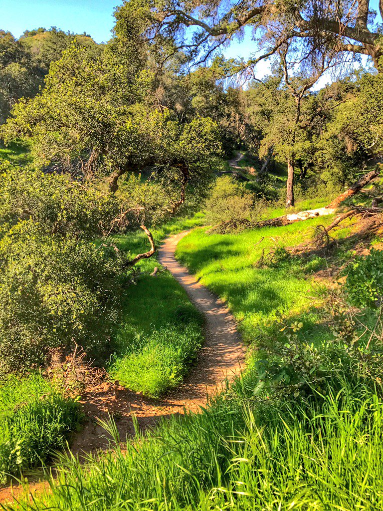 KeithAndrewRowe's tweet image. #SleepyHollow #WhitingRanch 
#TheOC #SoCal #Hiking