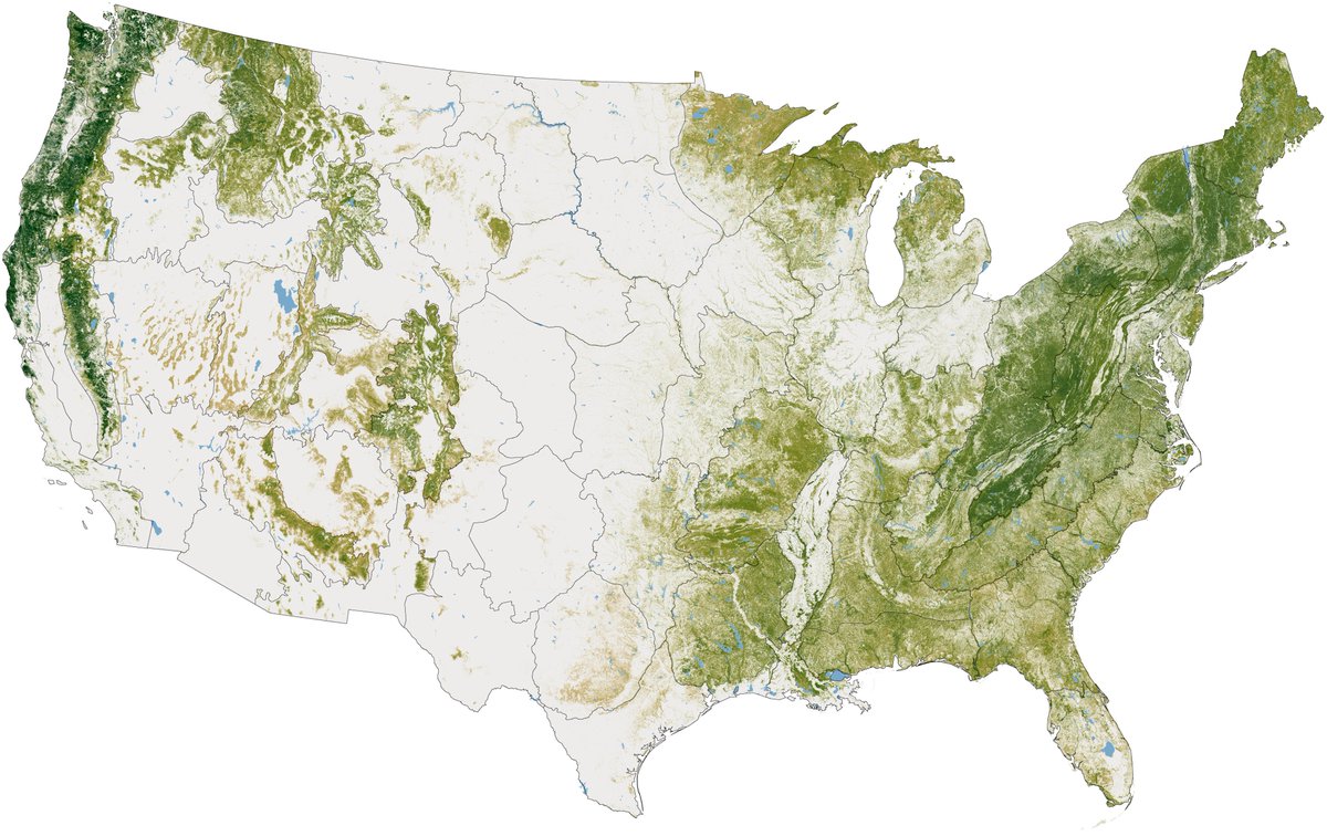 KenCaldeira's tweet photo. Map of current above-ground woody biomass. #Forests of the USA. https://t.co/ncHyBo8FuP https://t.co/PUk3SYQuoy @bethboyerPSU https://t.co/sUnfXUgoz0