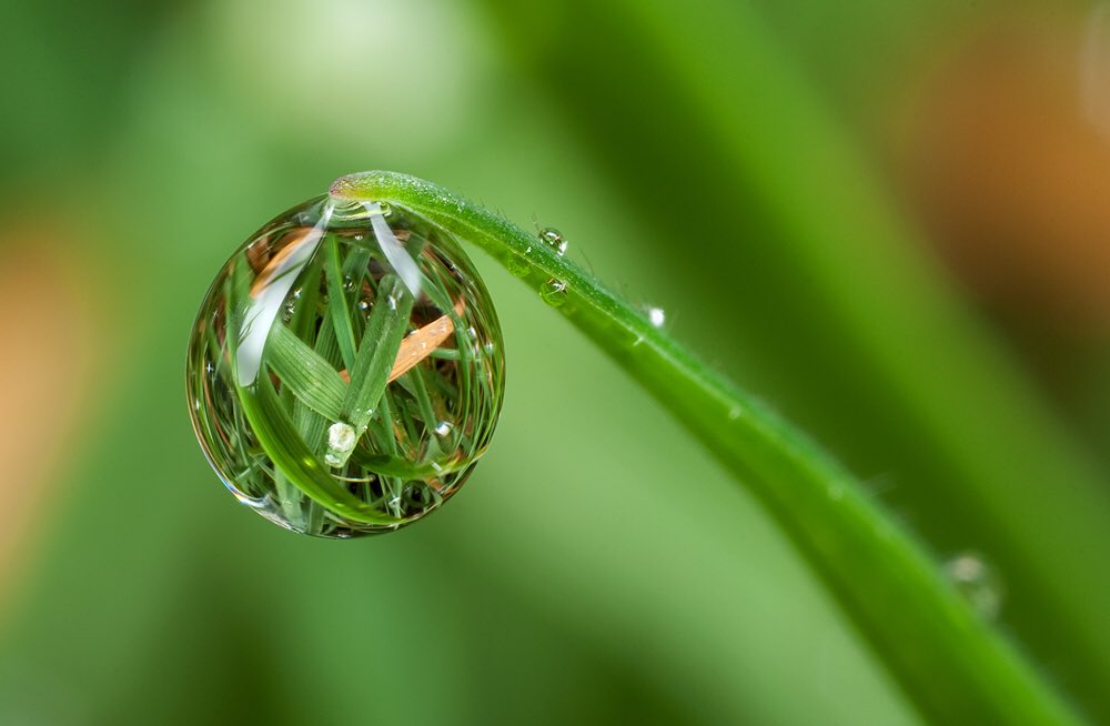 The whole moon and the entire sky are reflected in one dewdrop on the grass. -Dogen #mindfulness #thinkaboutit