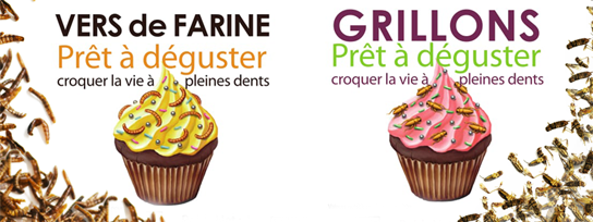 KIBOindustrie's tweet photo. フランスで安心・安全なおいしい昆虫を販売しています！
https://t.co/lyD4AuvwsN 
毎週昆虫を使った料理動画も作っています
https://t.co/MX1h9wlC1J
#KIBO #昆虫食 #exoticfood #料理
https://t.co/K9DxWbQClM
