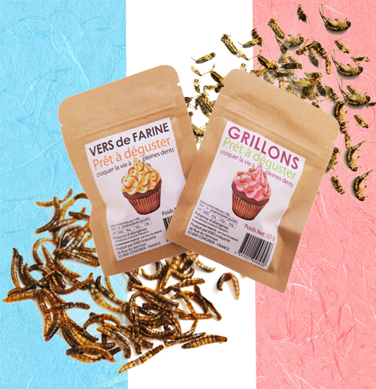 KIBOindustrie's tweet photo. フランスで安心・安全なおいしい昆虫を販売しています！
https://t.co/lyD4AuvwsN 
毎週昆虫を使った料理動画も作っています
https://t.co/MX1h9wlC1J
#KIBO #昆虫食 #exoticfood #料理
https://t.co/K9DxWbQClM