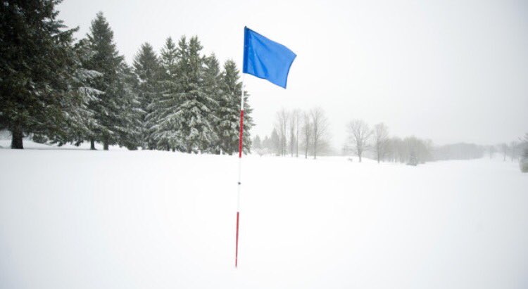 Indiana HS Golf tweet media